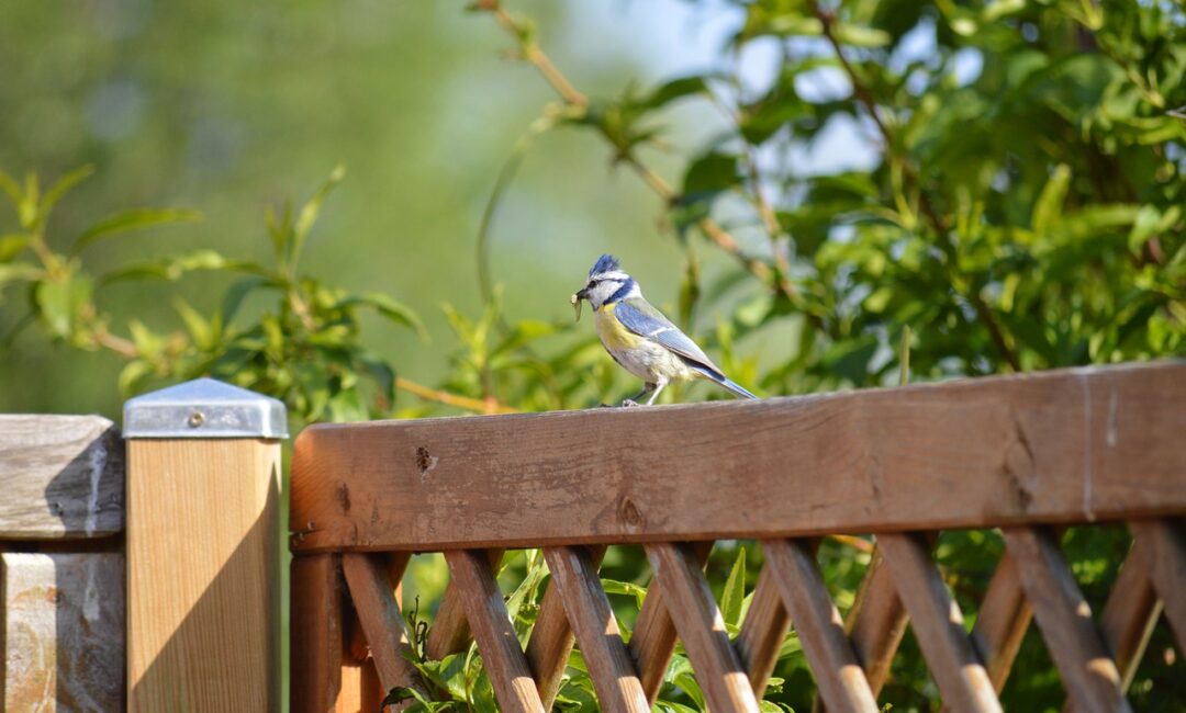 5_idées_innovantes_pour_transformer_votre_terrasse