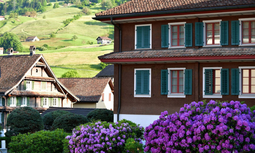 Arbustes_et_conseils_pour_créer_une_haie_de_jardin