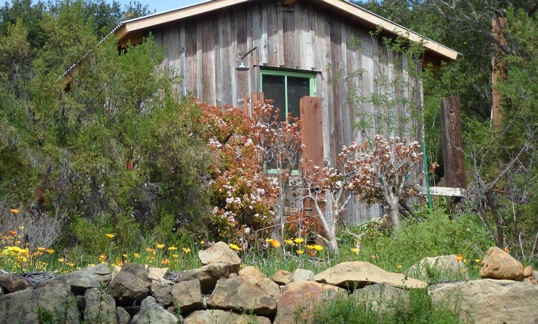 Comment_amenager_petit_jardin_minimaliste_?