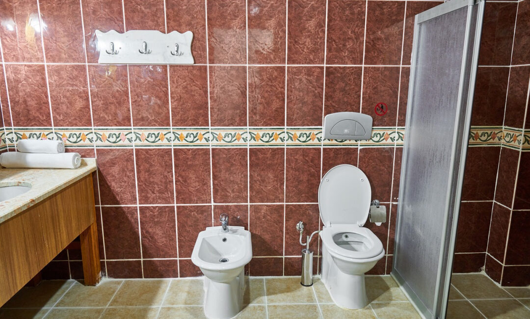 WC_bouché_que_faire_?